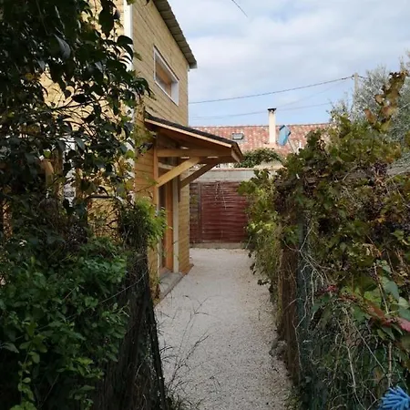 Le Petit De Shantay Youstay *