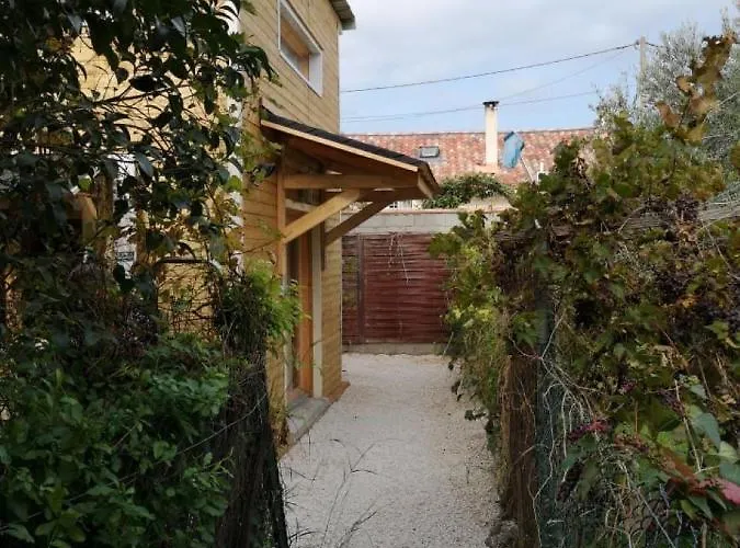 Le Petit De Shantay Youstay *