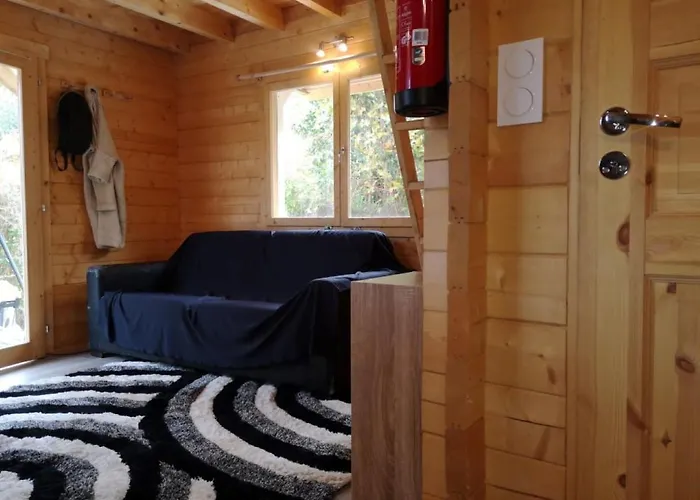 Le Petit De Shantay Youstay * Nîmes